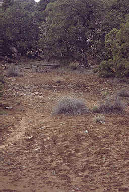 CNM1site.jpg (19609 bytes)