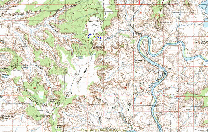 CNP3.jpg (78095 bytes)