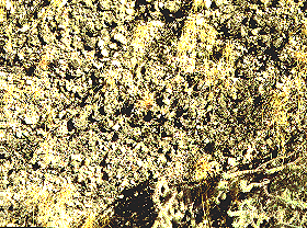 EM15crust.jpg (172253 bytes)