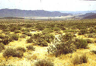 FI5-3.jpg (146268 bytes)