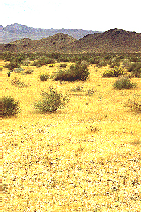 FI6-15.jpg (136911 bytes)