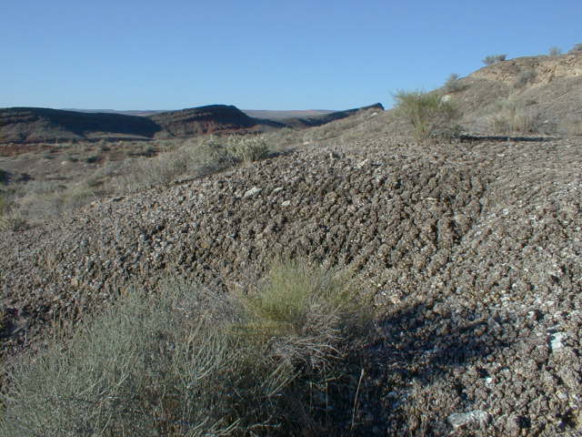 H1003.jpg (65300 bytes)