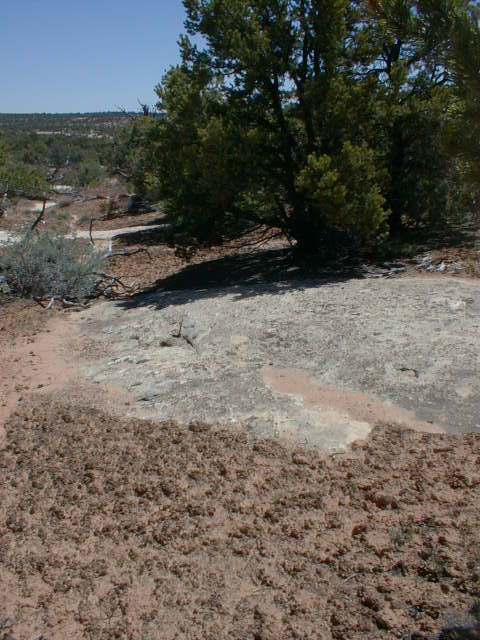 NB1059.jpg (189559 bytes)