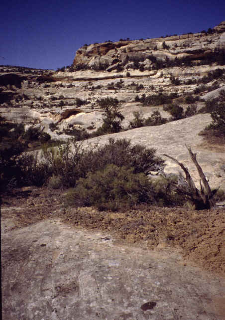 NB2site.jpg (44061 bytes)