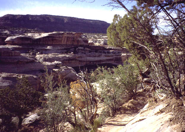 NBview.jpg (52632 bytes)