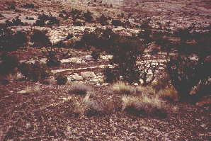 SRS1.jpg (115889 bytes)