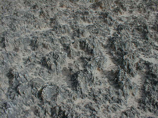 SRS1001.jpg (277436 bytes)