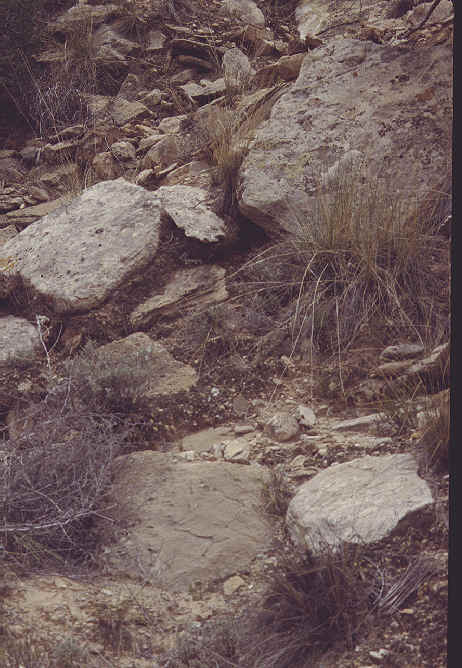 SRS3crust.jpg (48218 bytes)