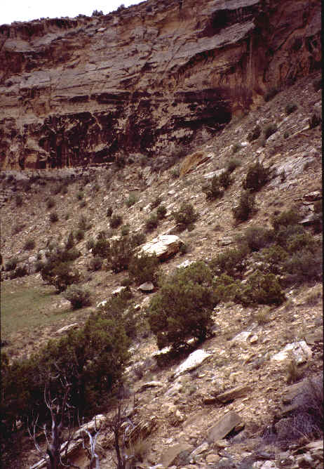 SRS3site.jpg (55781 bytes)