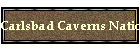 Carlsbad Caverns National Park