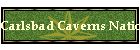 Carlsbad Caverns National Park