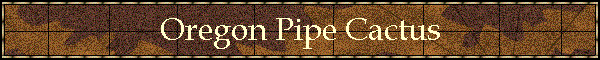 Oregon Pipe Cactus