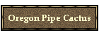 Oregon Pipe Cactus