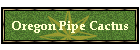 Oregon Pipe Cactus