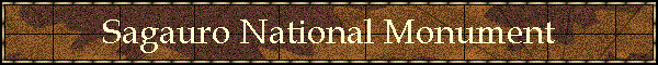 Sagauro National Monument