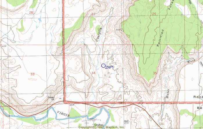 znp1map.jpg (52595 bytes)